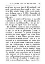 giornale/TO00142234/1869-1873/unico/00000783