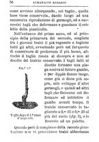 giornale/TO00142234/1869-1873/unico/00000792