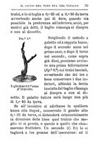 giornale/TO00142234/1869-1873/unico/00000795