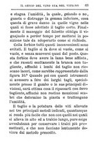 giornale/TO00142234/1869-1873/unico/00000799