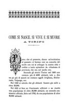 giornale/TO00163177/1895/unico/00000095