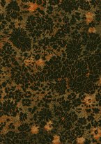 giornale/TO00163358/1898-1901/unico/00000001