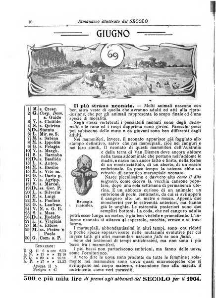 Almanacco illustrato del giornale Il secolo