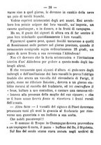 giornale/TO00166076/1862/unico/00000046