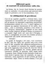 giornale/TO00166076/1870/unico/00000270