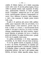 giornale/TO00166076/1874/unico/00000072