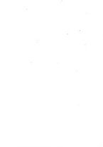 giornale/TO00169135/1903/unico/00000004