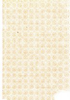 giornale/TO00173920/1902-1903/unico/00000003