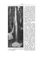 giornale/TO00174164/1915/unico/00000280