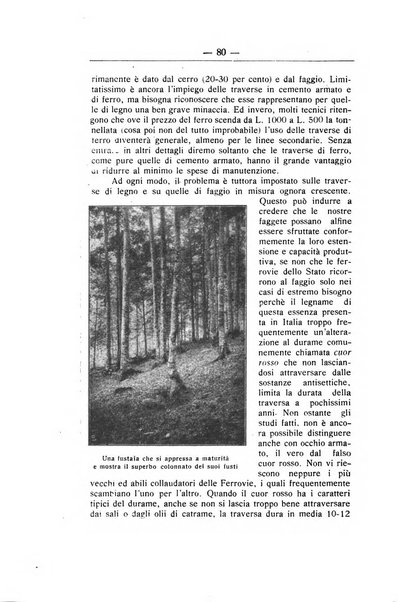 L'alpe rivista forestale italiana fondata dalla Società emiliana pro-montibus et sylvis