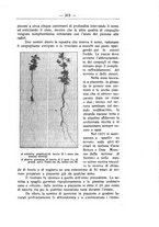 giornale/TO00174164/1924/unico/00000243