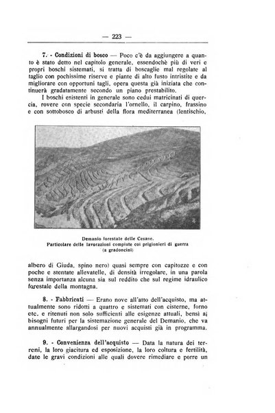 L'alpe rivista forestale italiana fondata dalla Società emiliana pro-montibus et sylvis