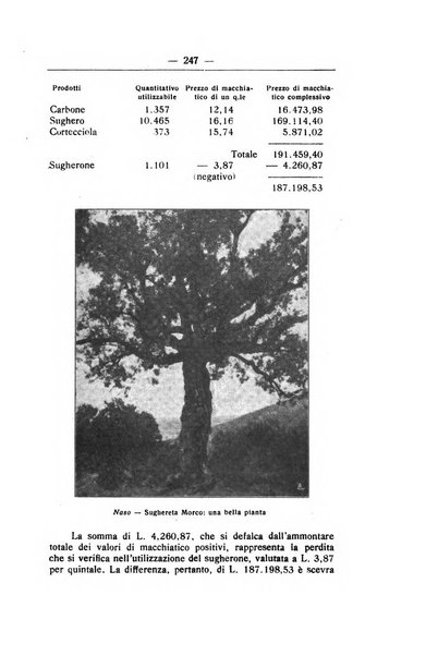 L'alpe rivista forestale italiana fondata dalla Società emiliana pro-montibus et sylvis