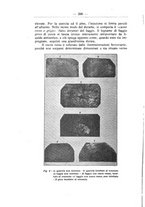 giornale/TO00174164/1924/unico/00000340