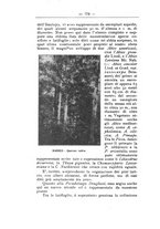 giornale/TO00174164/1925/unico/00000212