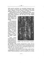 giornale/TO00174164/1925/unico/00000213
