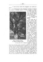 giornale/TO00174164/1925/unico/00000288