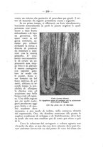 giornale/TO00174164/1925/unico/00000289