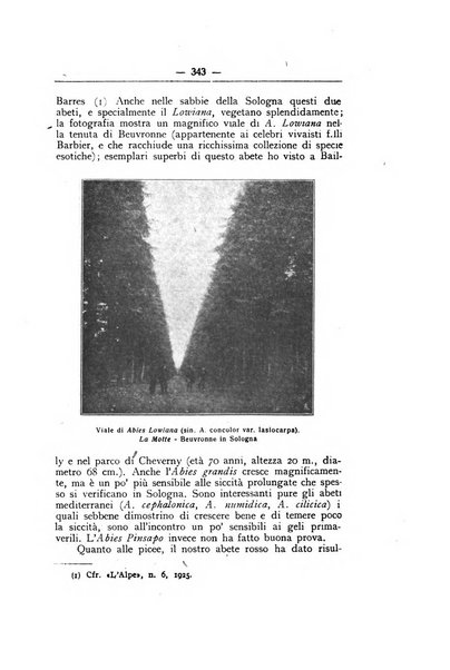 L'alpe rivista forestale italiana fondata dalla Società emiliana pro-montibus et sylvis