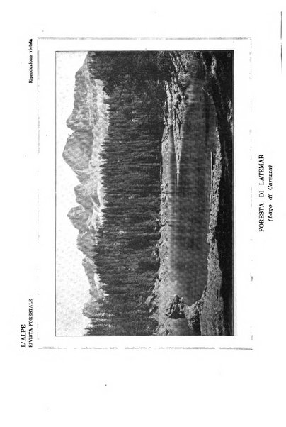 L'alpe rivista forestale italiana fondata dalla Società emiliana pro-montibus et sylvis