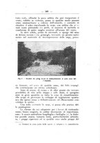 giornale/TO00174164/1926/unico/00000417