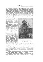 giornale/TO00174164/1926/unico/00000455