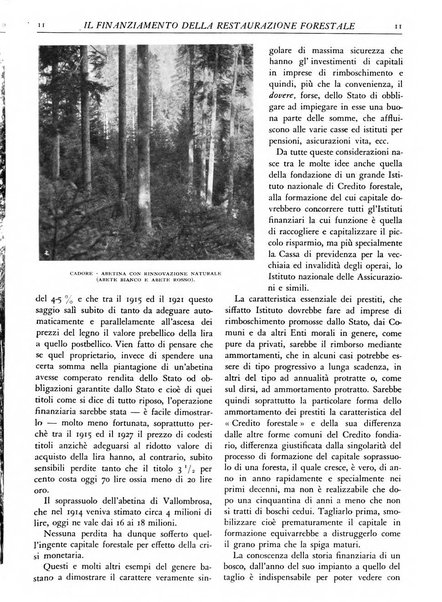 L'alpe rivista forestale italiana fondata dalla Società emiliana pro-montibus et sylvis