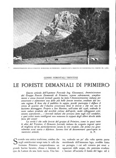 L'alpe rivista forestale italiana fondata dalla Società emiliana pro-montibus et sylvis