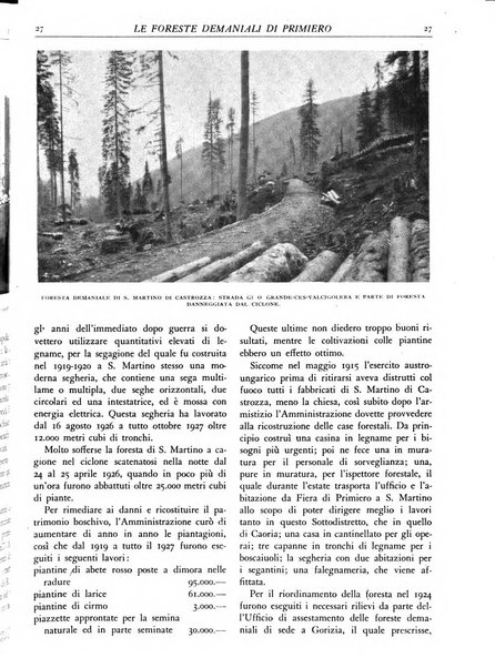 L'alpe rivista forestale italiana fondata dalla Società emiliana pro-montibus et sylvis