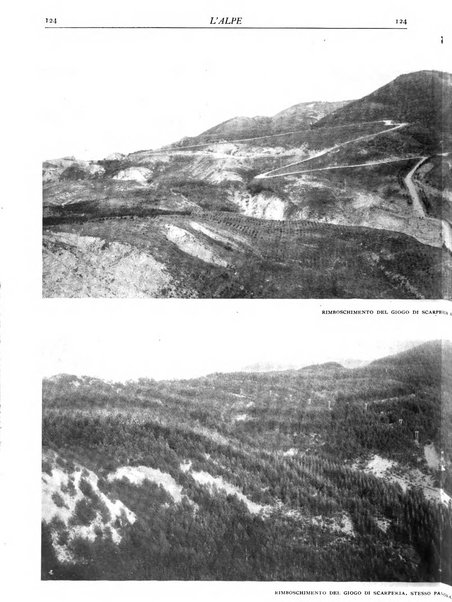 L'alpe rivista forestale italiana fondata dalla Società emiliana pro-montibus et sylvis