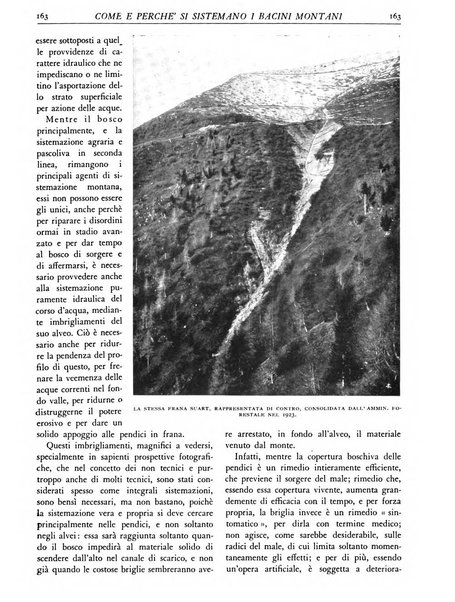 L'alpe rivista forestale italiana fondata dalla Società emiliana pro-montibus et sylvis