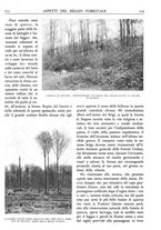 giornale/TO00174164/1928/unico/00000311