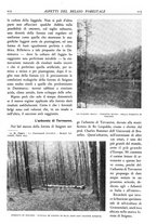 giornale/TO00174164/1928/unico/00000313