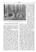 giornale/TO00174164/1928/unico/00000314