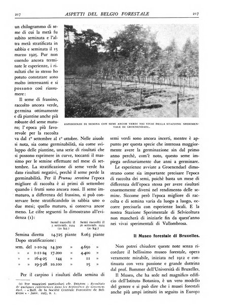 L'alpe rivista forestale italiana fondata dalla Società emiliana pro-montibus et sylvis