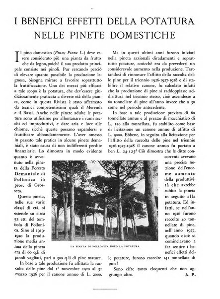 L'alpe rivista forestale italiana fondata dalla Società emiliana pro-montibus et sylvis