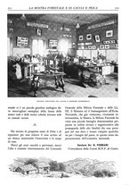 giornale/TO00174164/1928/unico/00000419