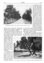 giornale/TO00174164/1928/unico/00000426