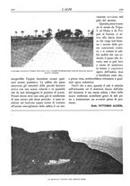 giornale/TO00174164/1928/unico/00000428