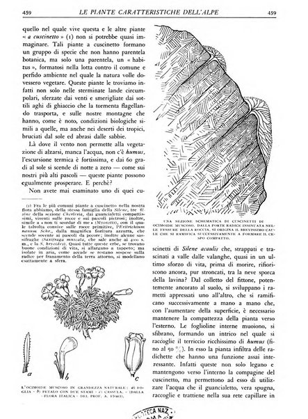 L'alpe rivista forestale italiana fondata dalla Società emiliana pro-montibus et sylvis