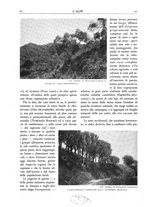 giornale/TO00174164/1929/unico/00000026