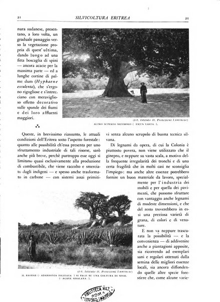 L'alpe rivista forestale italiana fondata dalla Società emiliana pro-montibus et sylvis