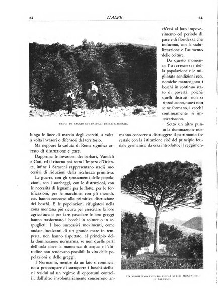 L'alpe rivista forestale italiana fondata dalla Società emiliana pro-montibus et sylvis