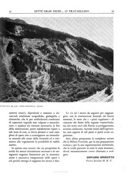 L'alpe rivista forestale italiana fondata dalla Società emiliana pro-montibus et sylvis