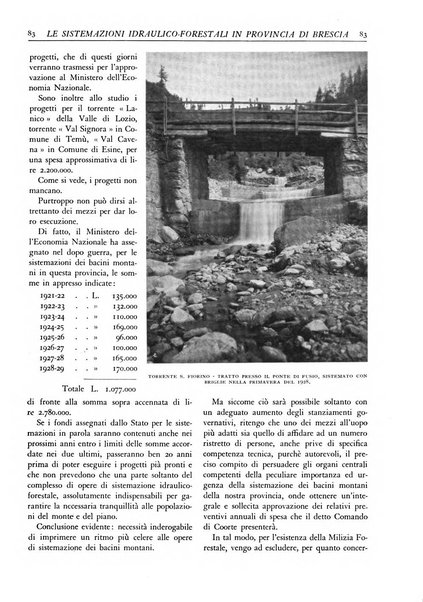 L'alpe rivista forestale italiana fondata dalla Società emiliana pro-montibus et sylvis