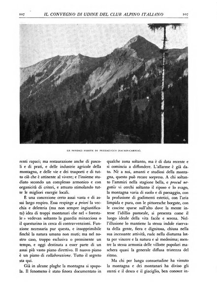 L'alpe rivista forestale italiana fondata dalla Società emiliana pro-montibus et sylvis