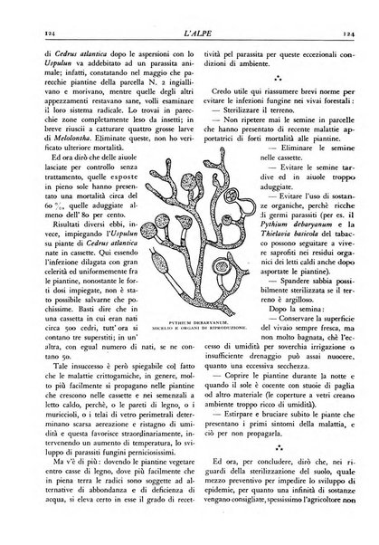 L'alpe rivista forestale italiana fondata dalla Società emiliana pro-montibus et sylvis