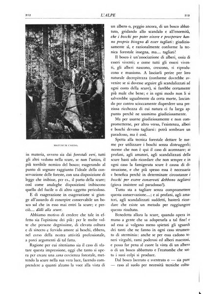 L'alpe rivista forestale italiana fondata dalla Società emiliana pro-montibus et sylvis