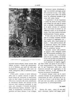 giornale/TO00174164/1929/unico/00000236