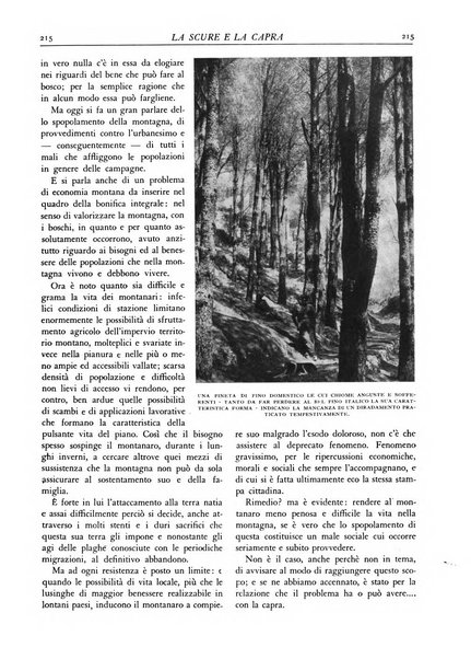 L'alpe rivista forestale italiana fondata dalla Società emiliana pro-montibus et sylvis